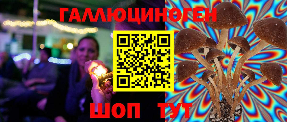 Знаменск  Псилоцибиновые грибы Magic Shrooms  Вход с VPN 