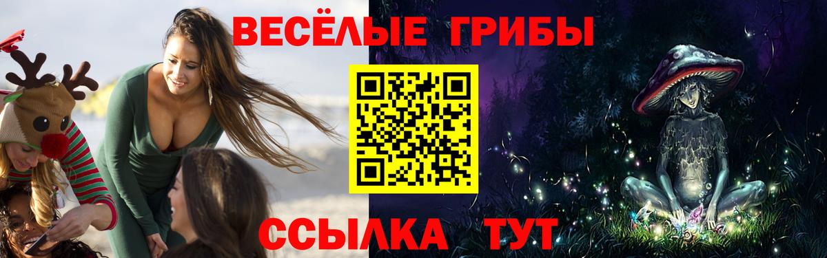 Псилоцибиновые грибы Psilocybine cubensis Знаменск